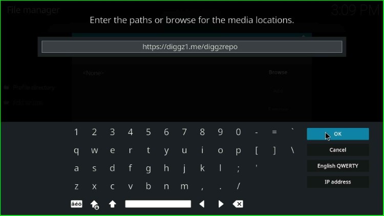 Type the Diggz Repo URL and press OK