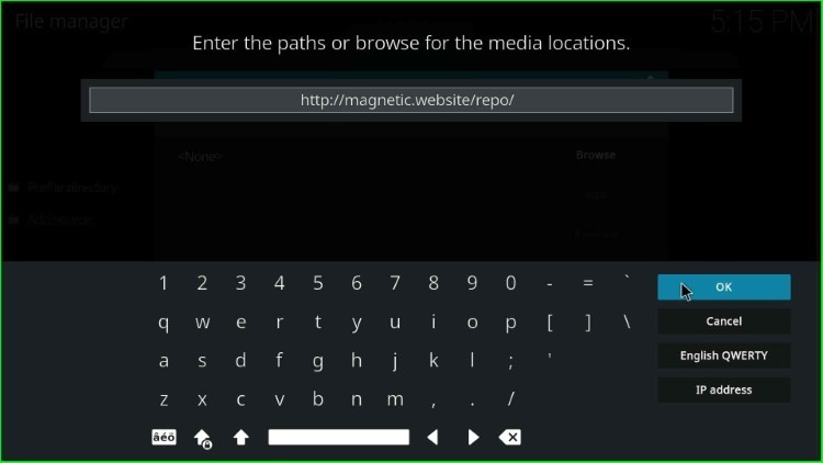 Type magnetic repo URL